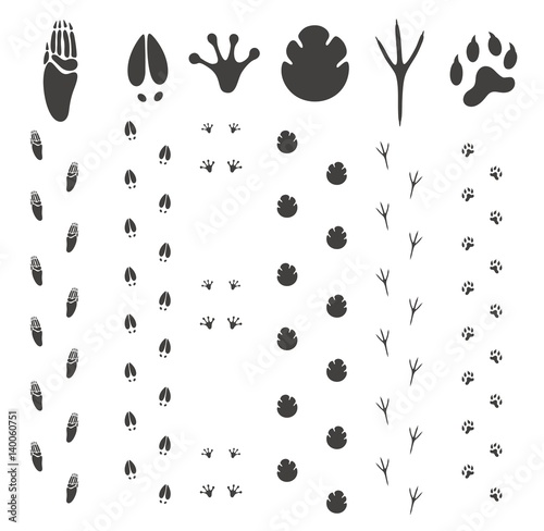 Paw Print