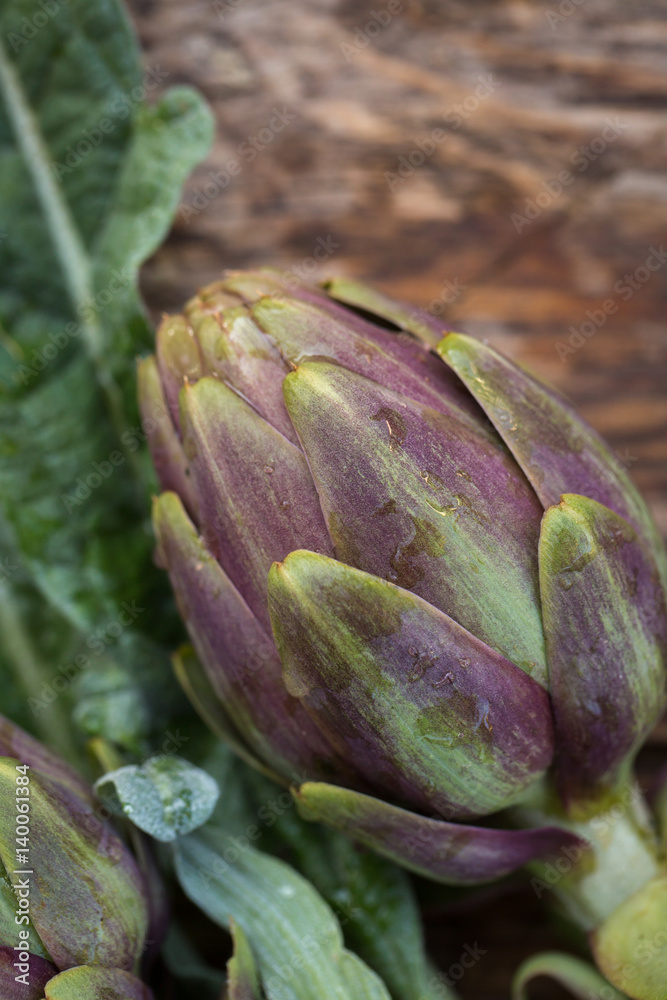 Obraz premium Artichokes