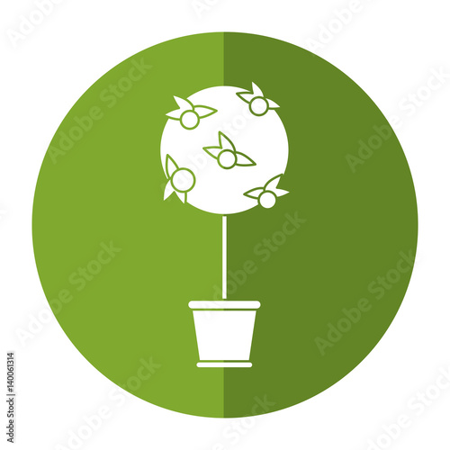 tree pot decorative garden shadow vector illustration eps 10