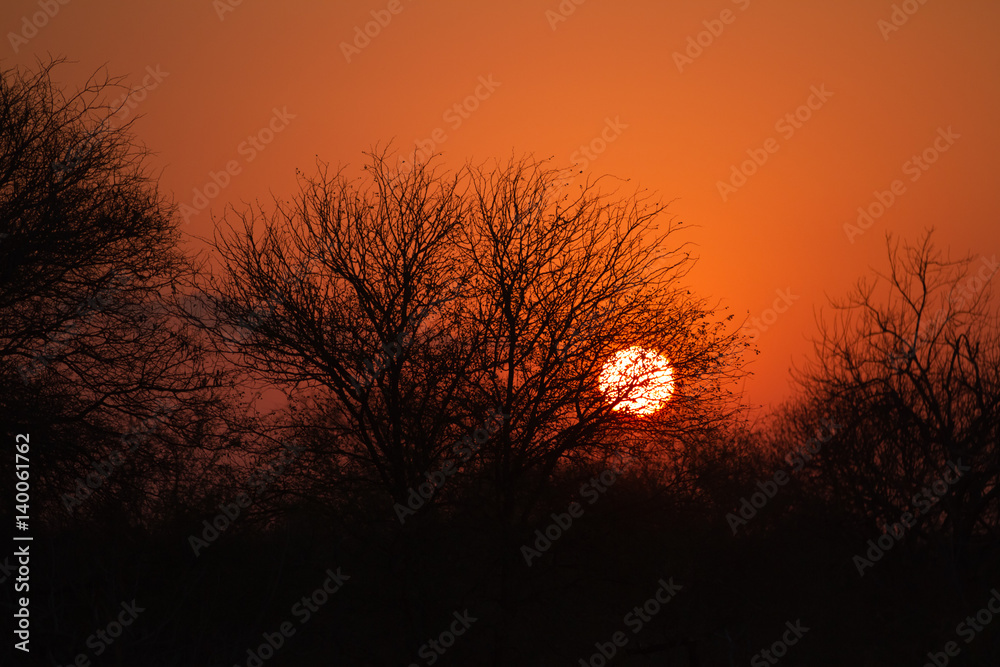 sunset in the kruger national park south africa sunset in the kruger national park south africa