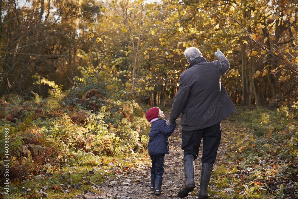 Obraz premium Grandfather And Granddaughter Enjoying Autumn Walk