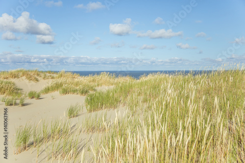 A beautiful sand dunes in a Neringa National park