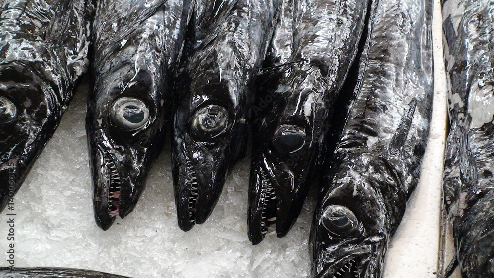 Deep-sea fish Espada laid on the counter with ice on the market