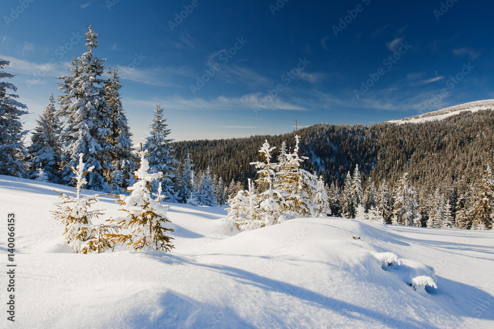 winter landscape