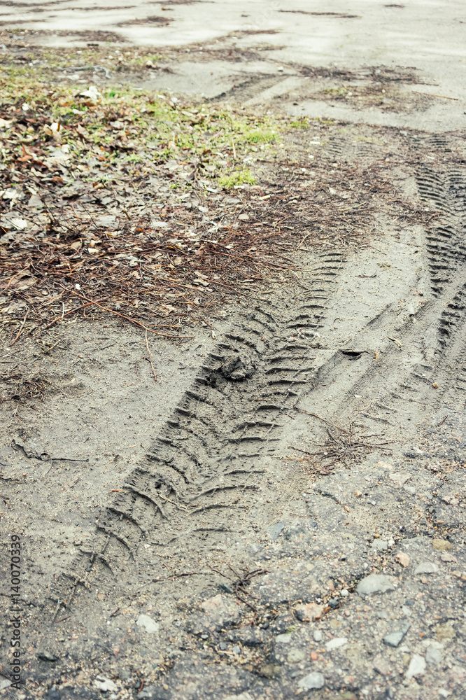 Tire tracks on a muddy road Tire tracks on a muddy road