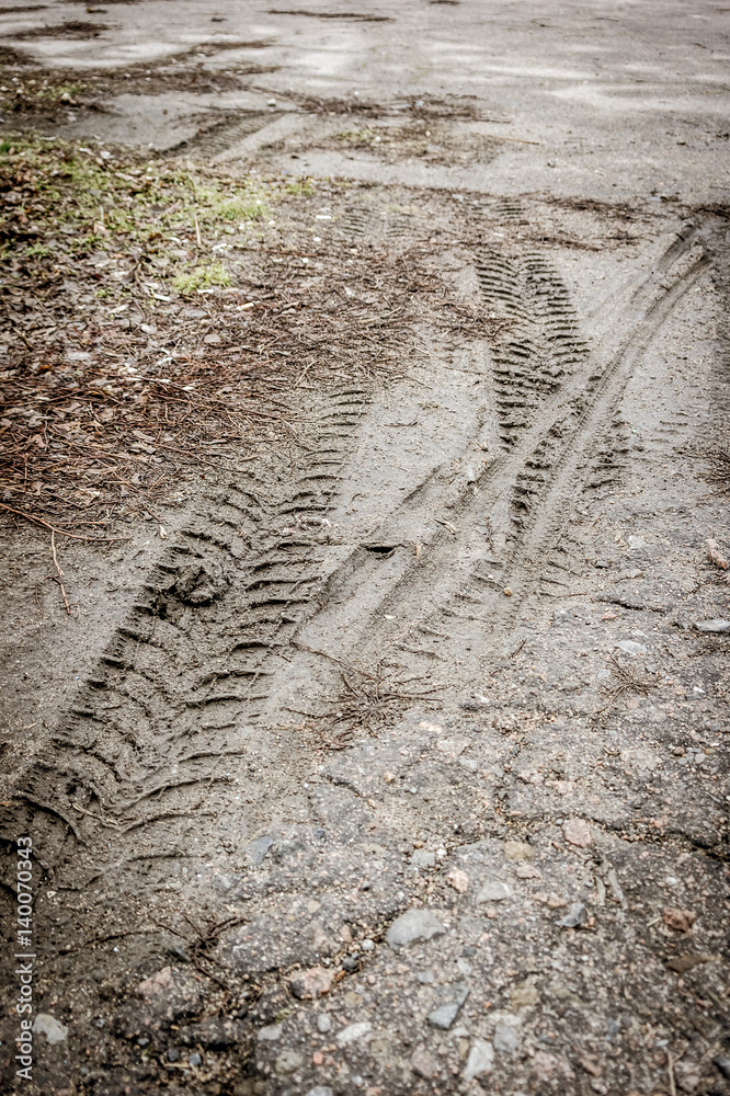 Tire tracks on a muddy road