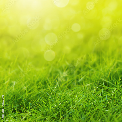 Green grass with defocused lights