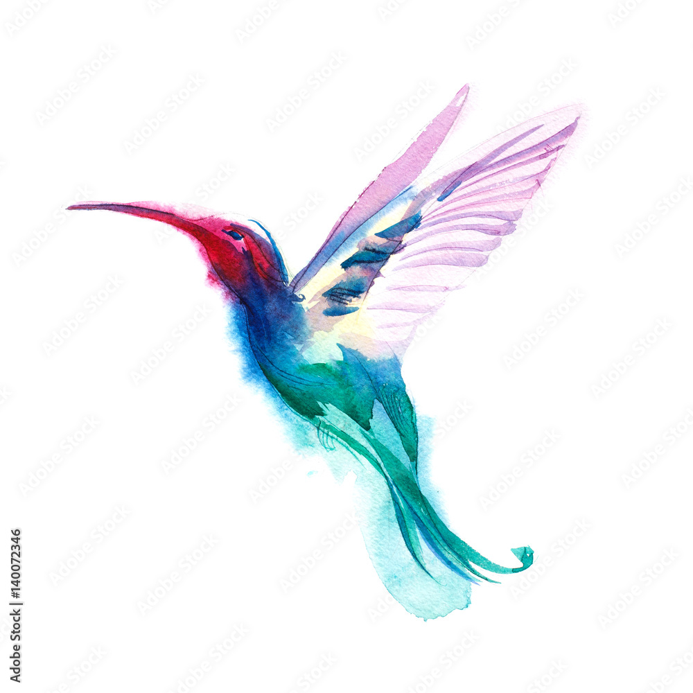Watercolor blue humming-bird flying and  isolated on white background. rainbow bird. tropical colibri or white-throat