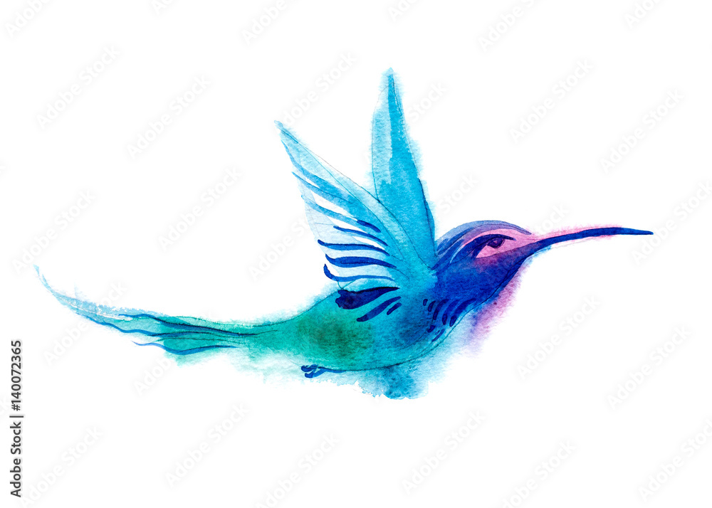 Obraz premium Watercolor blue humming-bird flying and isolated on white background. rainbow bird. tropical colibri or white-throat