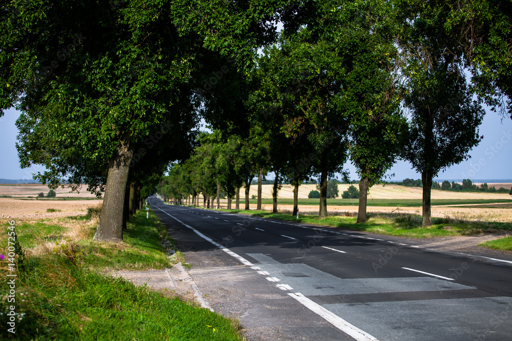 Rural road in the Czech Republic. 