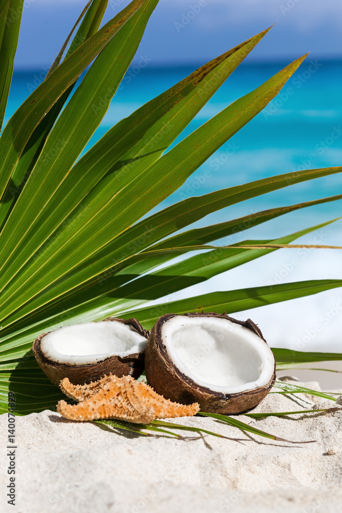 Brown coconut and fish star on sandy beach Brown coconut and fish star on sandy beach