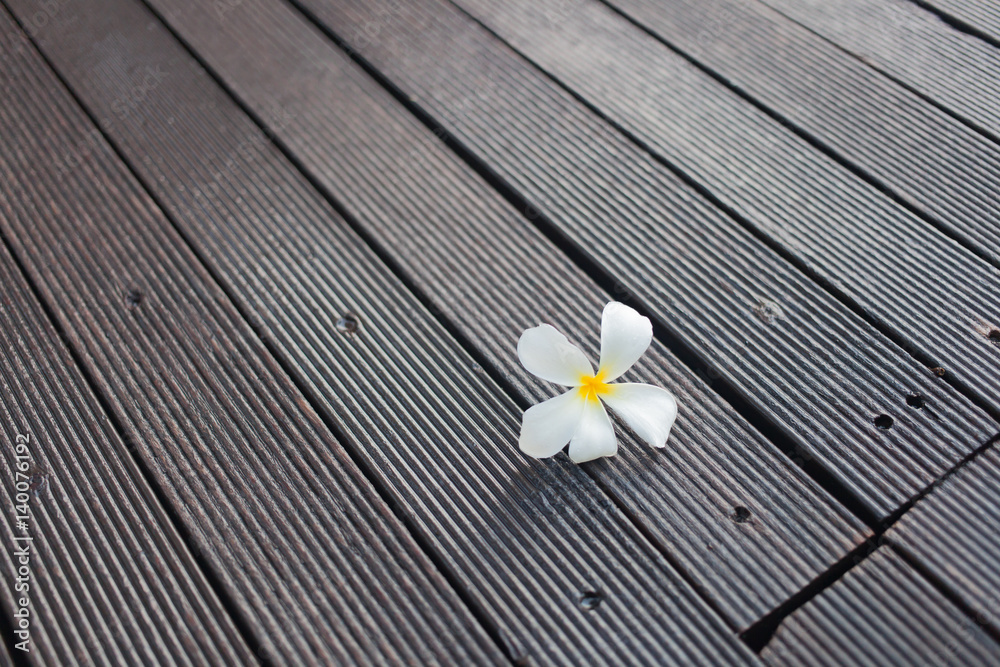 Obraz premium Pretty white frangipani flower on wood floor.