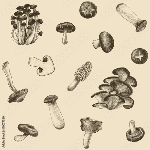Mushroom background