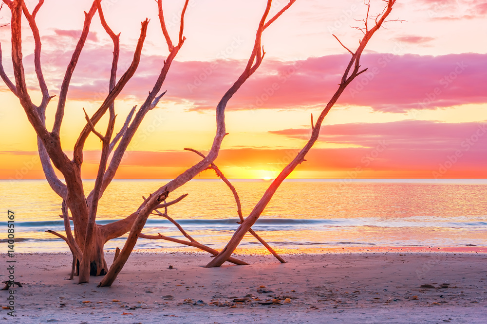 Sunset on the Bay. Dry trees sticking out of sand on the beach. Lovely relaxing atmosphere of the evening. USA. Florida. Gulf of Mexico.
Sunset on the Bay. Dry trees sticking out of sand on the beach. Lovely relaxing atmosphere of the evening. USA. Florida. Gulf of Mexico.