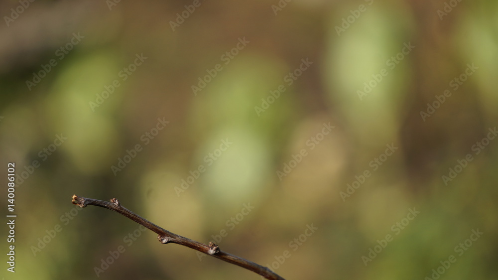 background background
