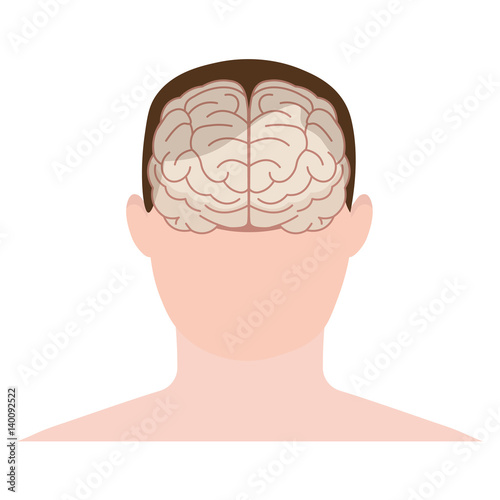 Head human, face and brain in flat style. Vector illustration. Front view.