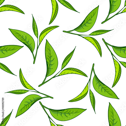 Seamless pattern with green tea leaves