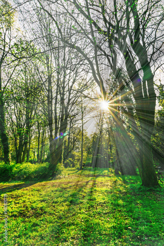 Canvastavla Park im Frühling mit strahlender Sonne