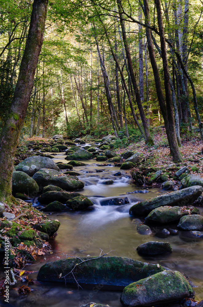 Creek Lined by Rocks and Trees in the Smokey Mountains National Park Creek Lined by Rocks and Trees in the Smokey Mountains National Park