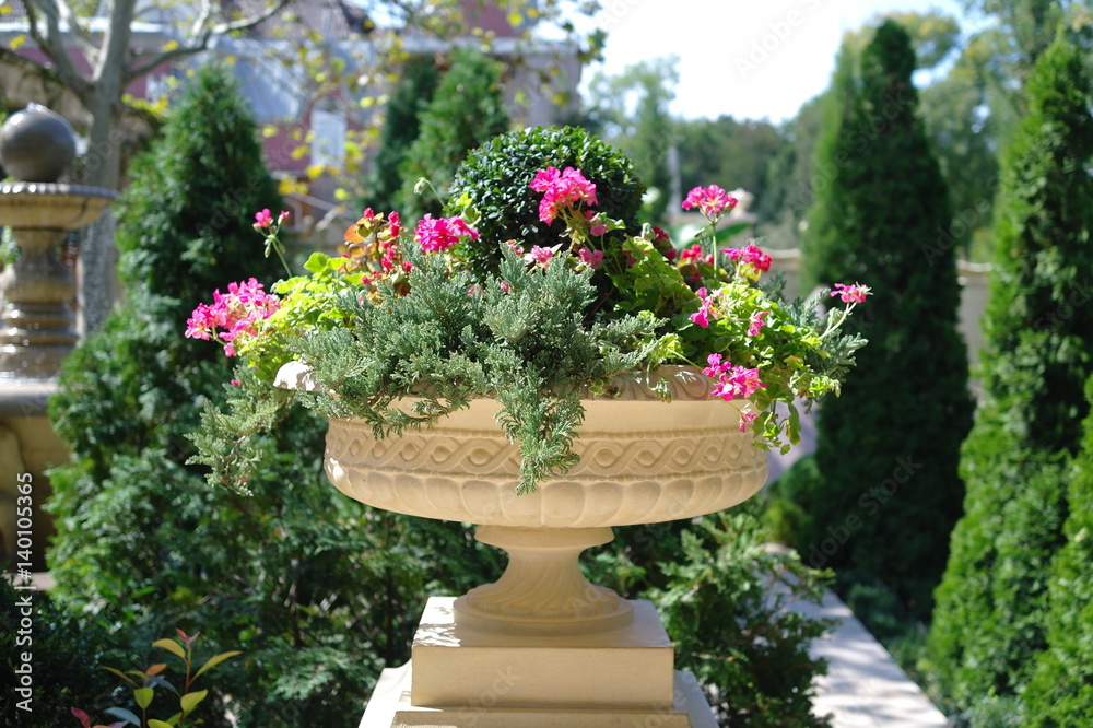 The beautiful flowers in the large flowerpot