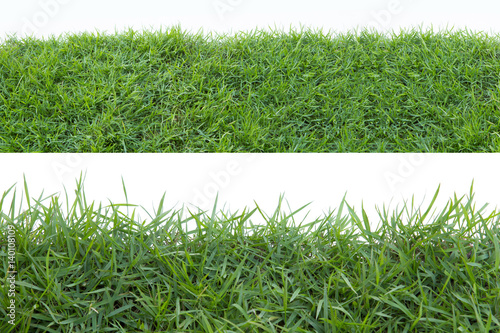 Grass isolated on white background. photo