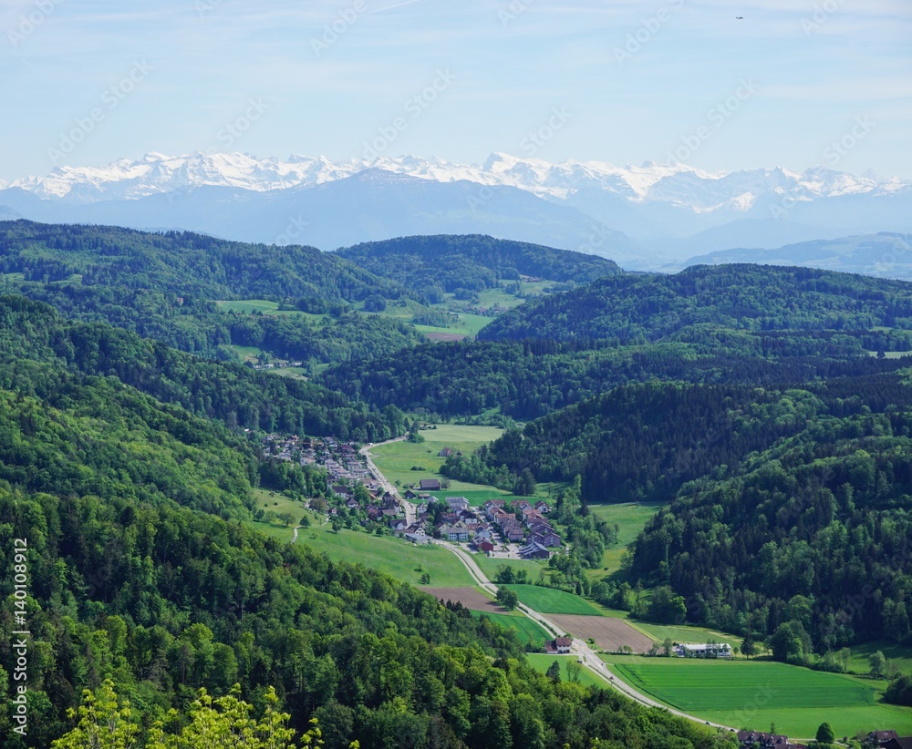 Zürich und der Zürichsee vom Ütliberg Zürich und der Zürichsee vom Ütliberg