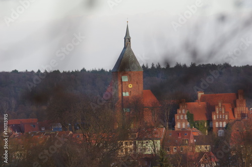 Mölln vom Baum aus photo