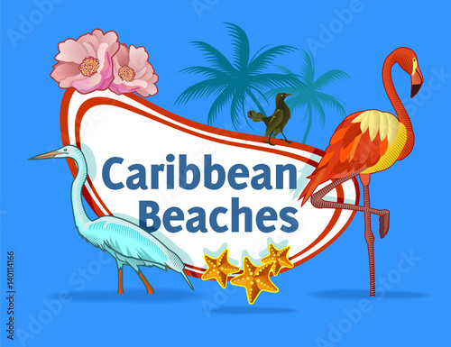 pajaros del caribe