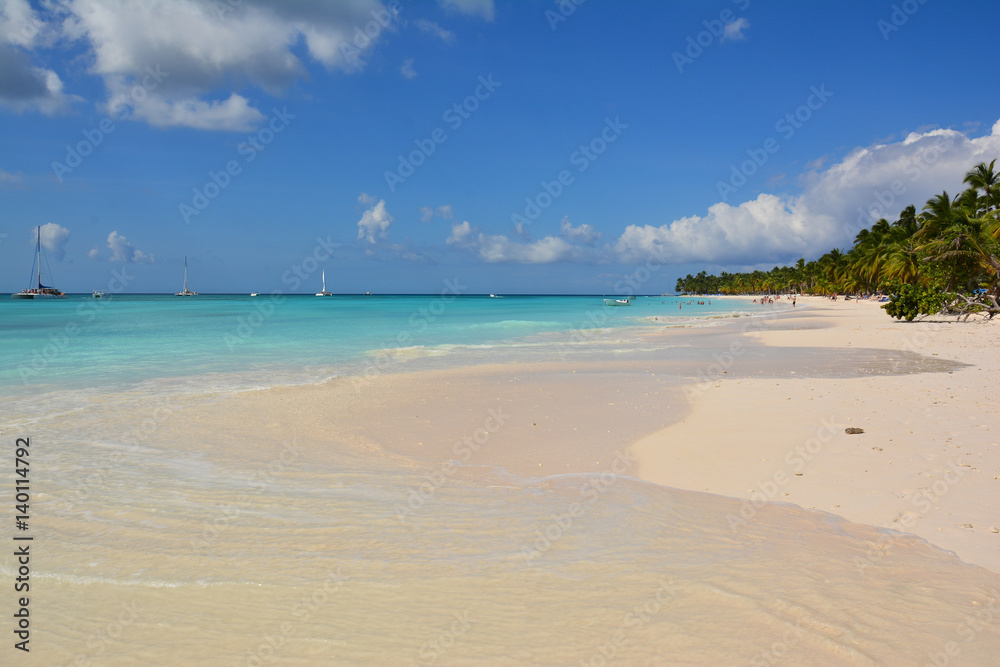 sea panoramic view of the Dominican Republic in the Caribbean with white beaches and palm trees