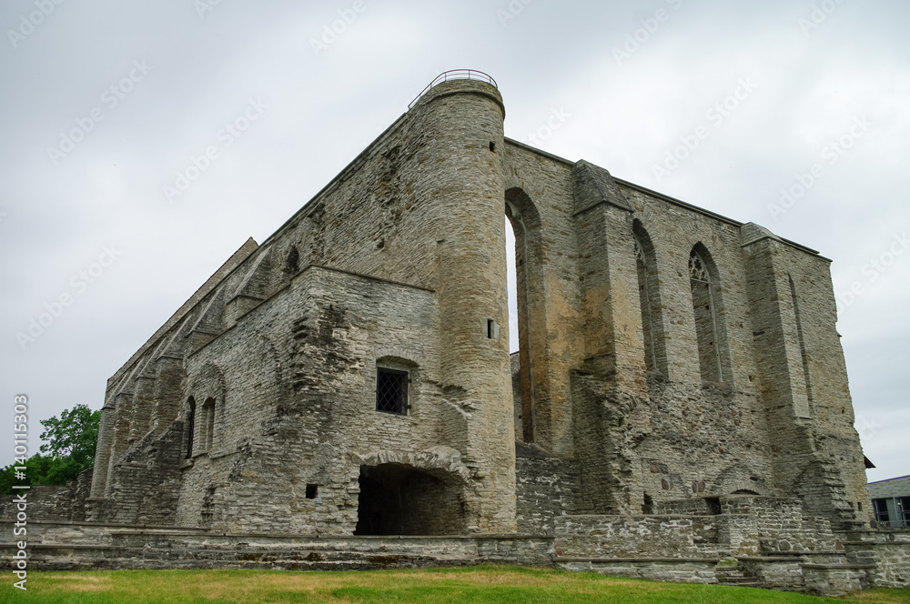 Ancient ruined St. Brigitta convent in Pirita region, Tallinn, Estonia