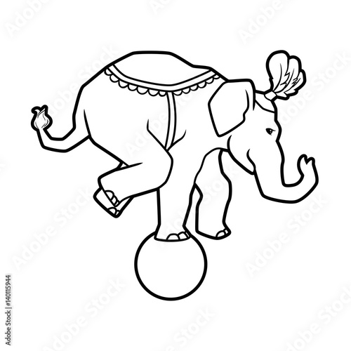 Circus trained wild animals performance isolated on white. elephant balances on the ball