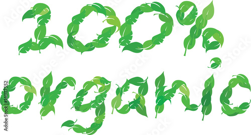 Text 100  organic leaves vector