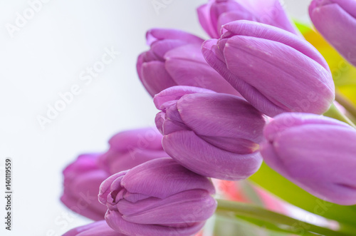 Bouquet of lilac tulips.