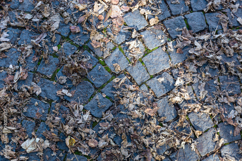 Wallpaper Mural Road from paving stone with yellow leaves from above. Torontodigital.ca