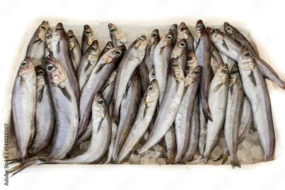 Blue whiting or Micromesistius poutassou fishes for sale in the greek fish market.