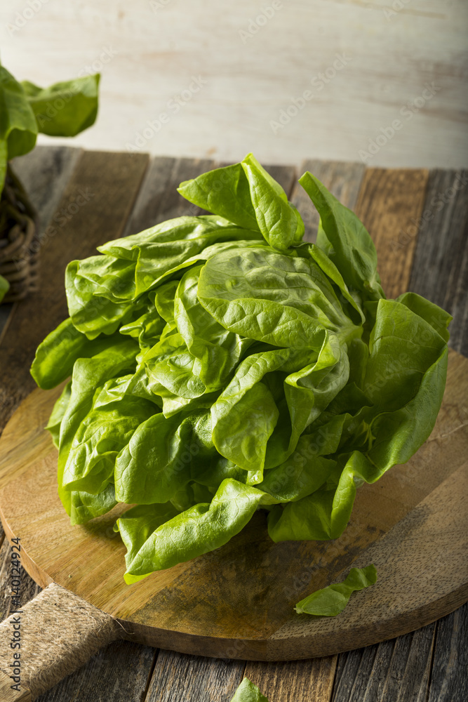 Raw Green Organic Boston Butter Lettuce Raw Green Organic Boston Butter Lettuce