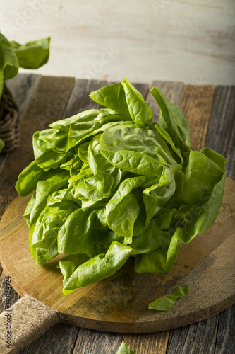 Raw Green Organic Boston Butter Lettuce