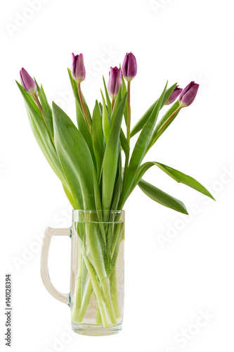 Bouquet of spring flowers  purple or lilac tulips. Isolated  white background.