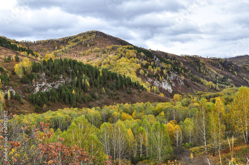 Altai mountains, covered with colorful autumn forests