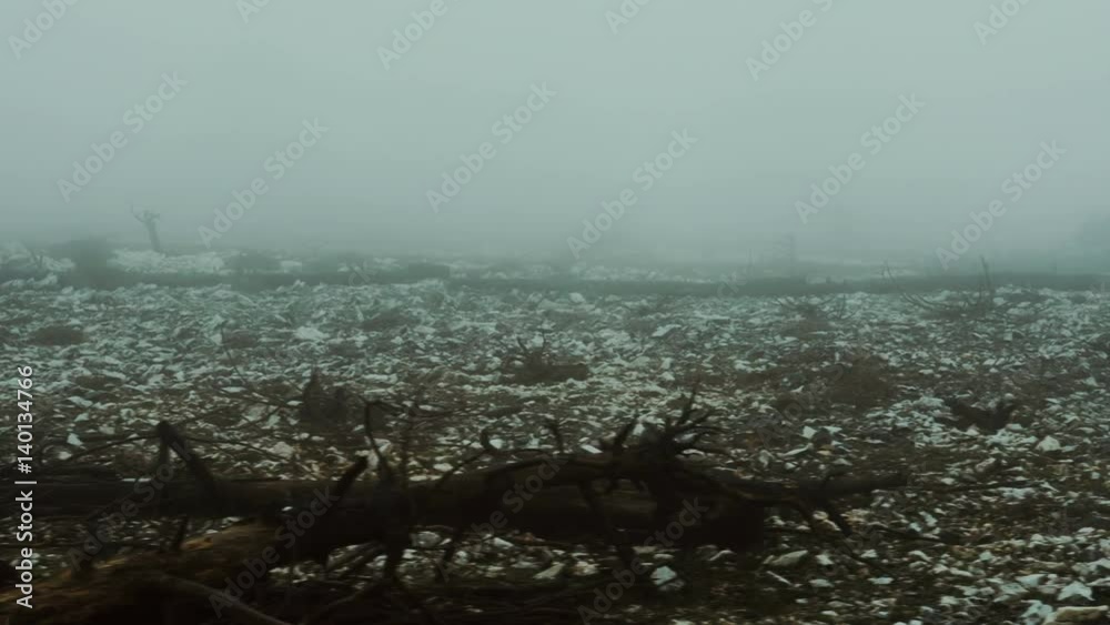 4K Pov moving shot of barren land,burned out forest in mist and fog.Pov gimbal stabilized view of a ravaged and scorched forest landscape in heavy fog and mist.Dark overcast weather,gimbal/dolly shot. 4K Pov moving shot of barren land,burned out forest in mist and fog.Pov gimbal stabilized view of a ravaged and scorched forest landscape in heavy fog and mist.Dark overcast weather,gimbal/dolly shot.
