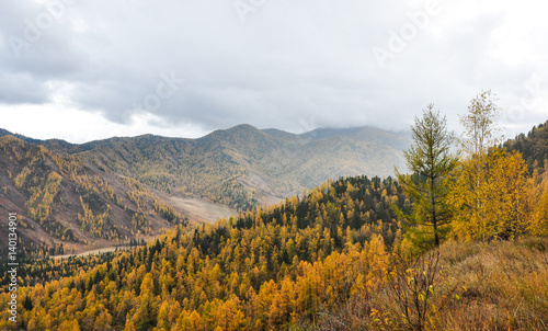 Altai mountains, covered with colorful autumn forests