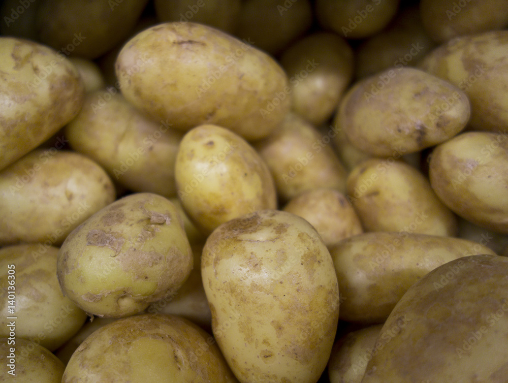 Collection of Potatoes in Supermarket Collection of Potatoes in Supermarket