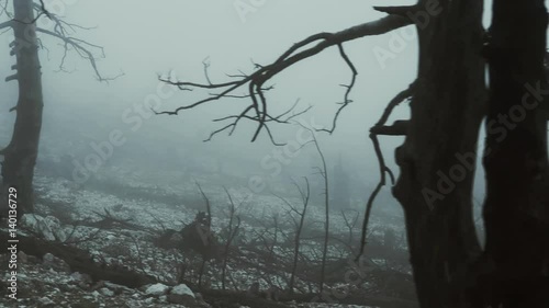 4K Pov moving shot of barren land,burned out forest in mist and fog.Pov gimbal stabilized view of a ravaged and scorched forest landscape in heavy fog and mist.Dark overcast weather,gimbal/dolly shot.