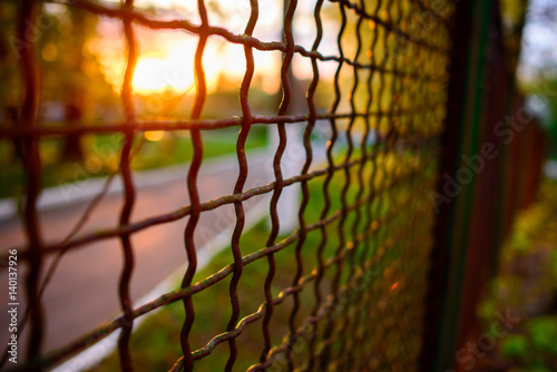 fence with metal grid in perspective