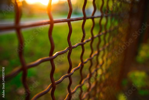 fence with metal grid in perspective