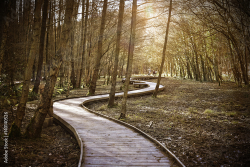 Newmillerdam forest park