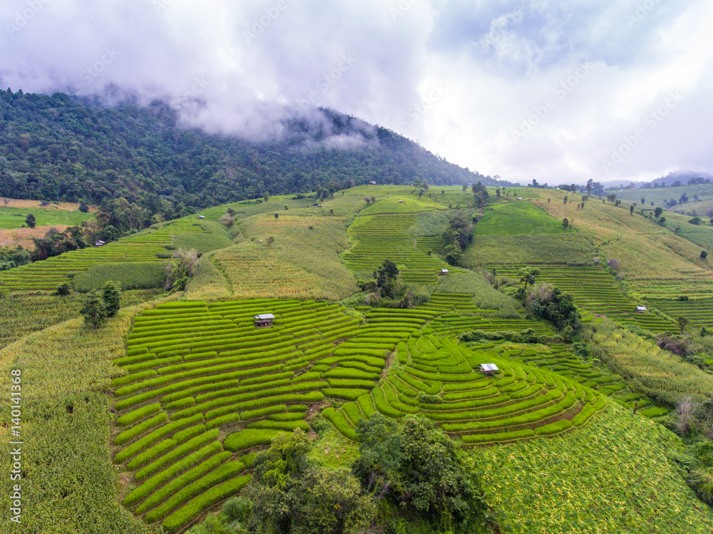 Aerial view of beautiful rice terrace in a mountain