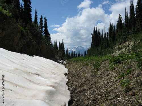 Mt. Revelstoke National Park
