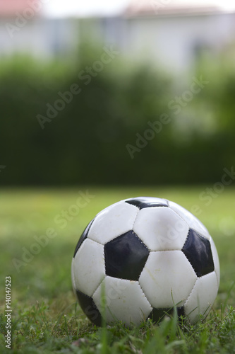 A football on a meadow 