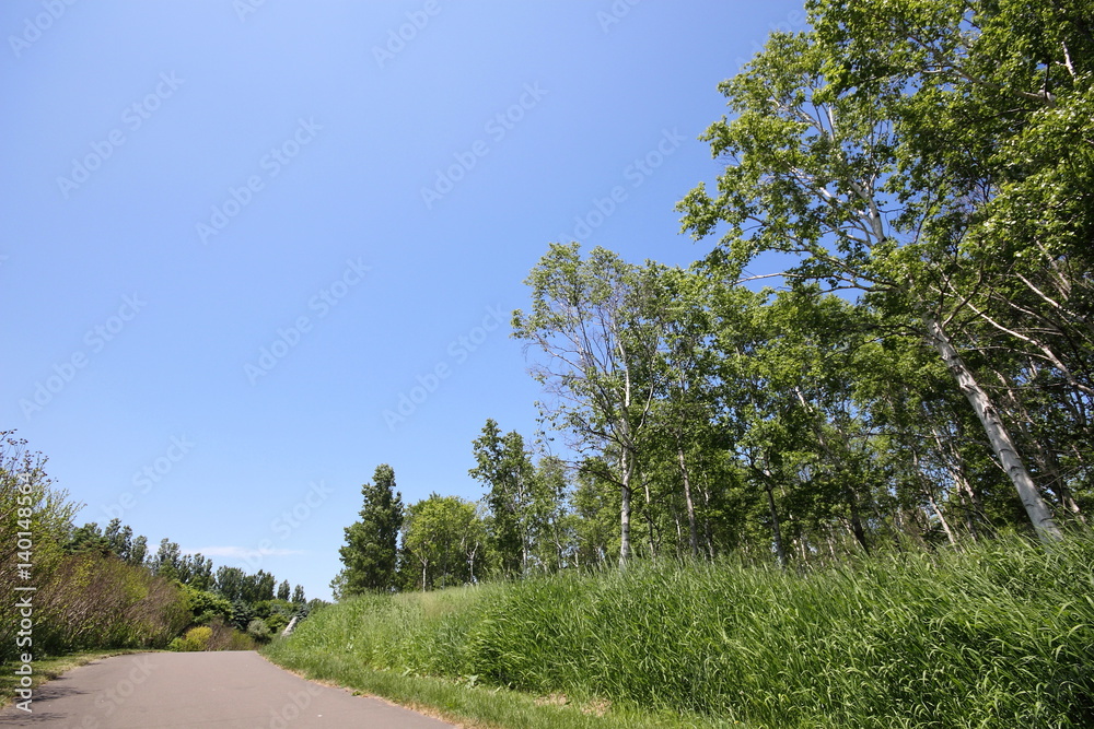 Four seasons of Sapporo Maeda Forest Park Four seasons of Sapporo Maeda Forest Park